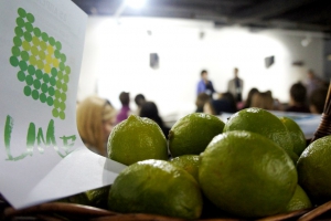Фестиваль социальной рекламы “Lime” открыл сбор средств на краудфандинговой платформе Boomstarter.