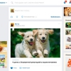 Одноклассники и Purina Dog Chow запустили социальную сеть для домашних животных