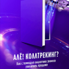 Только 20 % российских компаний используют корректно настроенный коллтрекинг
