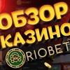 Особенности азартных игры в онлайн-казино «РиоБет казино»